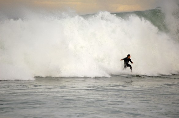 Windang Island - June 2011